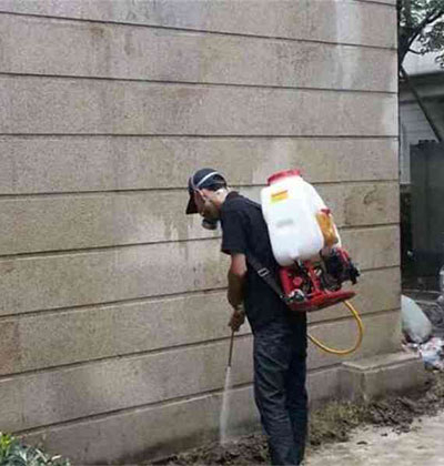 郫縣除四害，龍泉除四害