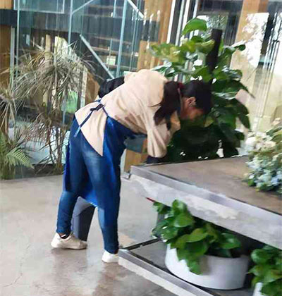 都江堰日常保潔，南充日常保潔，簡陽日常保潔，新都日常保潔