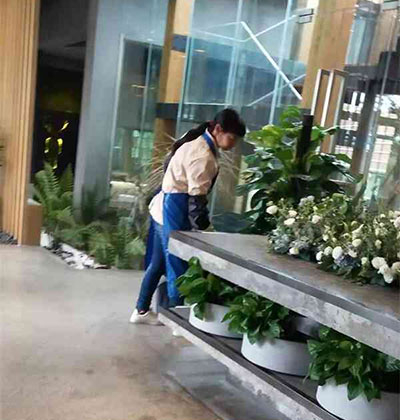 郫都區(qū)日常保潔，郫縣日常保潔，龍泉日常保潔，溫江日常保潔